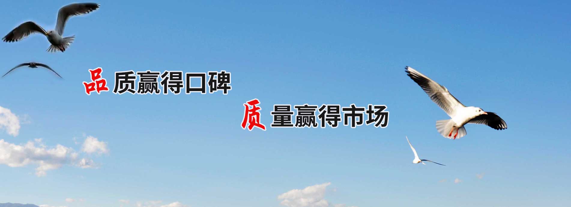 未知图片