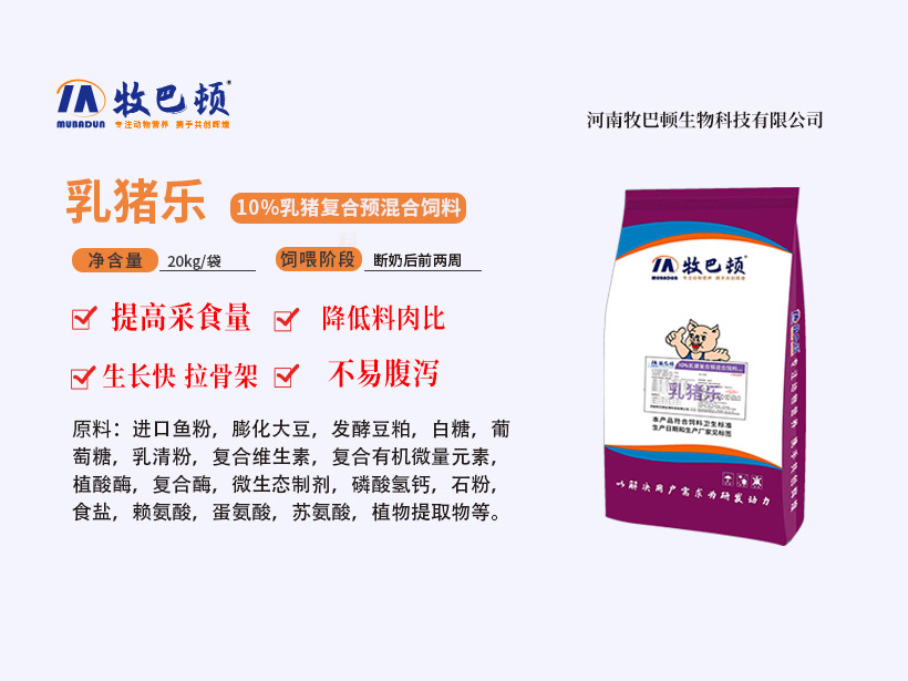 乳猪乐.jpg